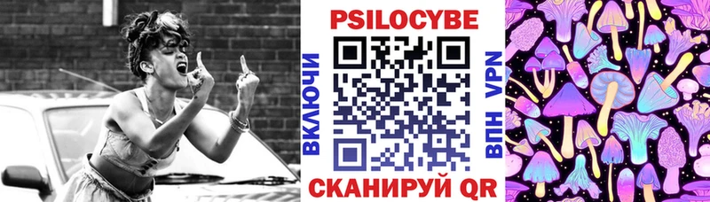 Галлюциногенные грибы Cubensis  нарко площадка телеграм  Шагонар  купить наркоту 